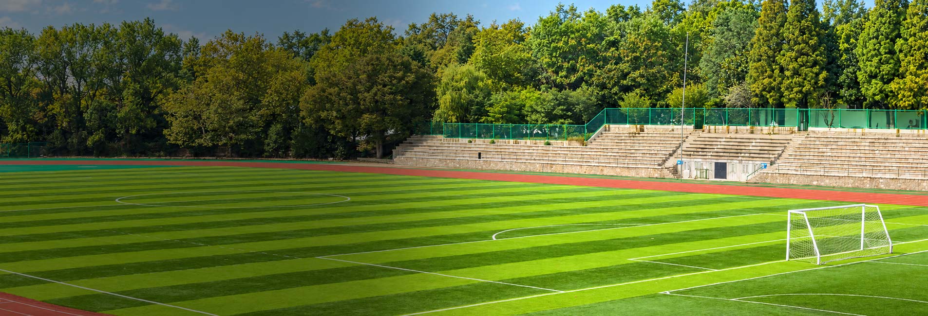 El mundo es mucho más verde con Avengrass