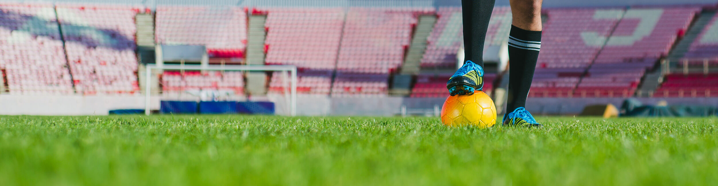 El mundo es mucho más verde con Avengrass